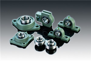 Bearing Unit