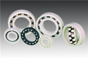 Ceramic Bearings