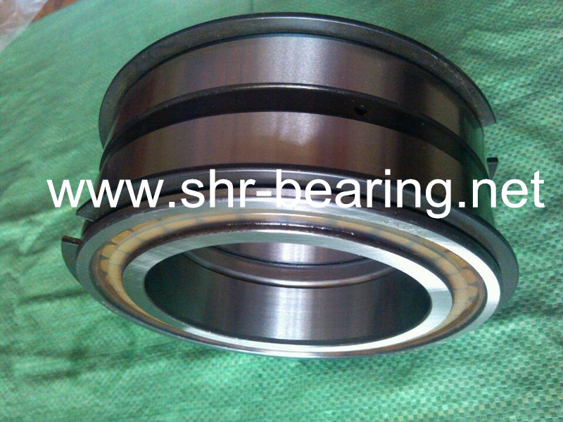 NACHI E5036NRNT E5036NR E5036 Cylindrical type Truck Mounted Crane Bearing