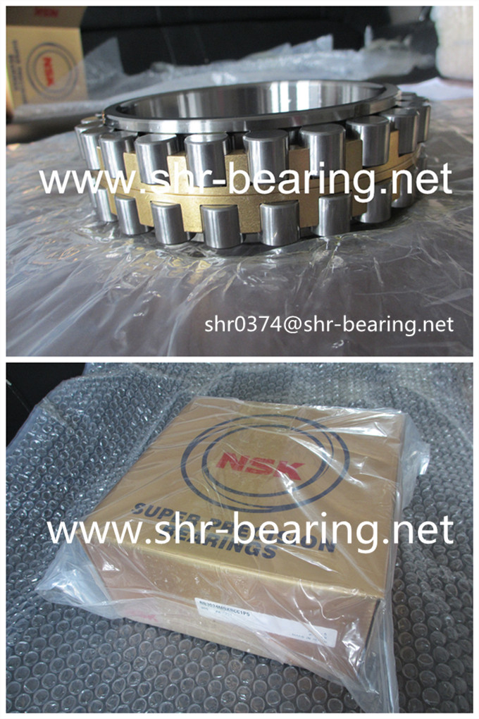 NSK spindle roller bearing double row nylon cage NN3020TBKRCC0P4 wanted