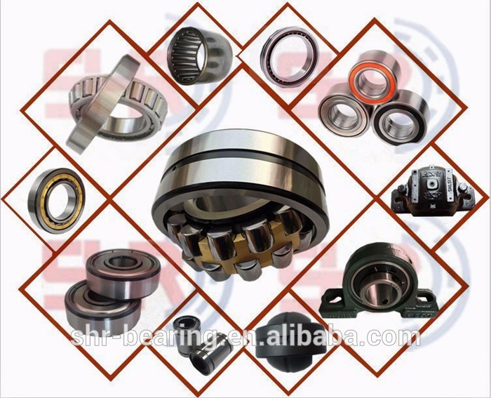 SYBR bearing.jpg